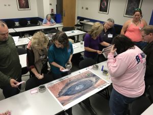 Teachers exploring the “Hole Story” crater activity. Credit: Keely Finkelstein