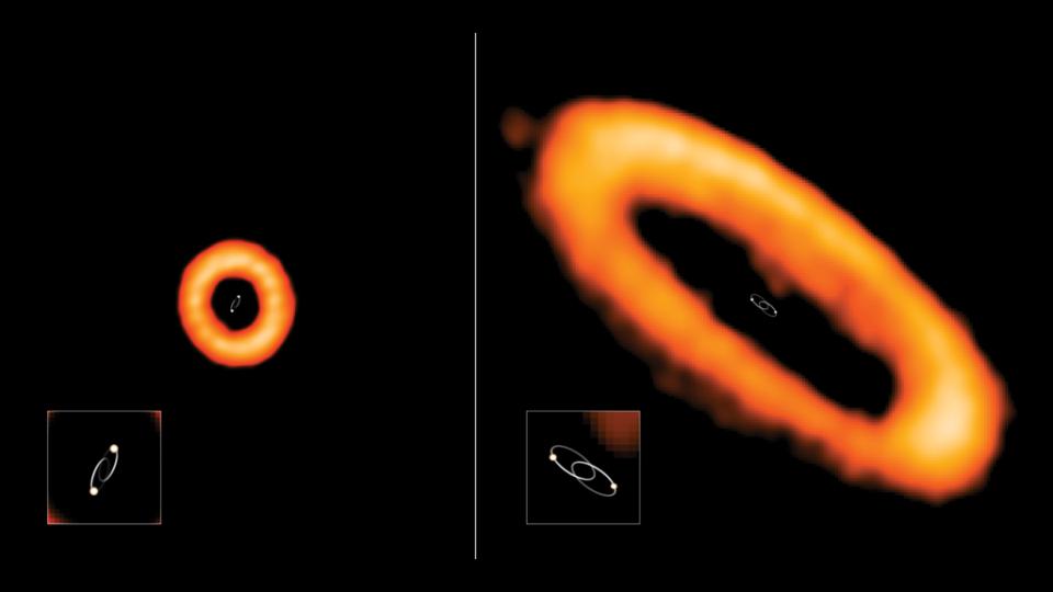 The Strange Orbits of “Tatooine” Planet Disks