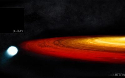 Star survives close call with a black hole, researchers use ‘hot Jupiter’ data to mine exoplanet chemistry, and Dr. David Grinspoon talks his “Funky Science Story Hour”