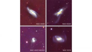 Galaxy mergers trigger black hole growth
