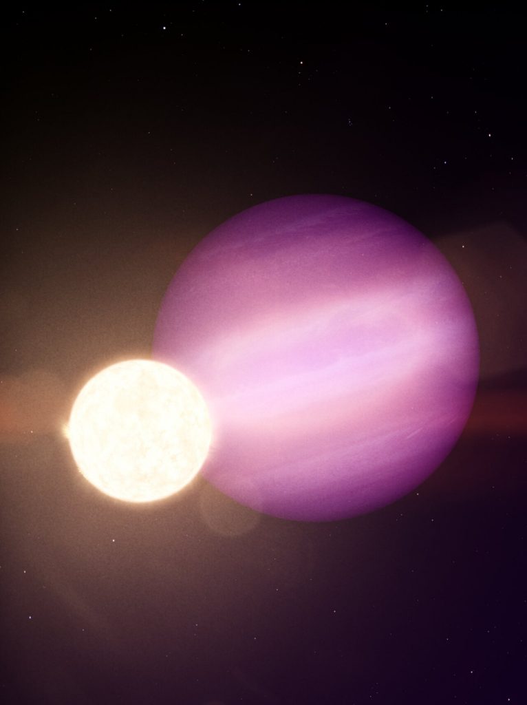 A White Dwarf’s Surprise Planetary Companion