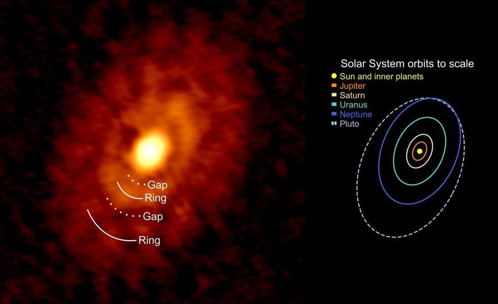 Stars and Planets Grow Up Together as Siblings