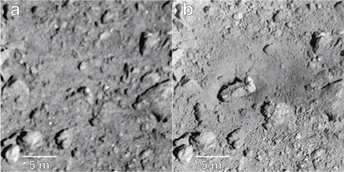 Asteroid Ryugu Shaken by Hayabusa2’s Impactor