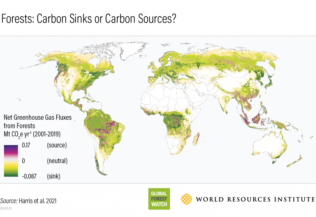 Partners - CIFOR