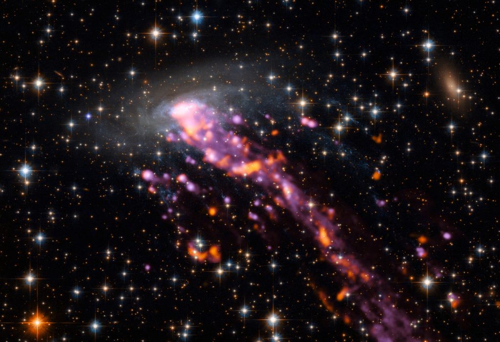 Jellyfish Galaxies Swimming Through Clusters