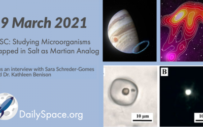 LPSC: Studying Microorganisms Trapped in Salt as Martian Analog