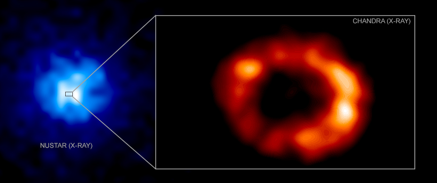 Neutron Star in SN1987A May Have Been Found