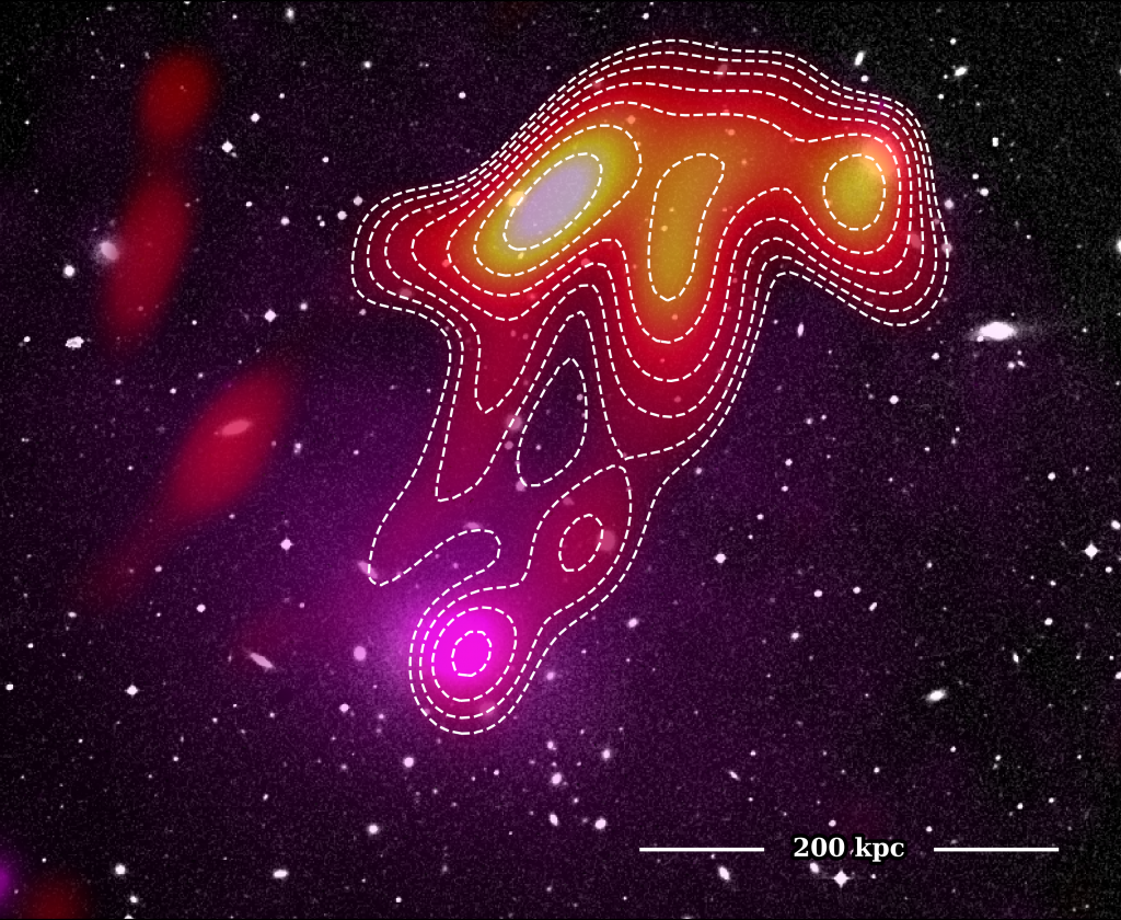 Space Jellyfish Seen in Radio Wavelengths