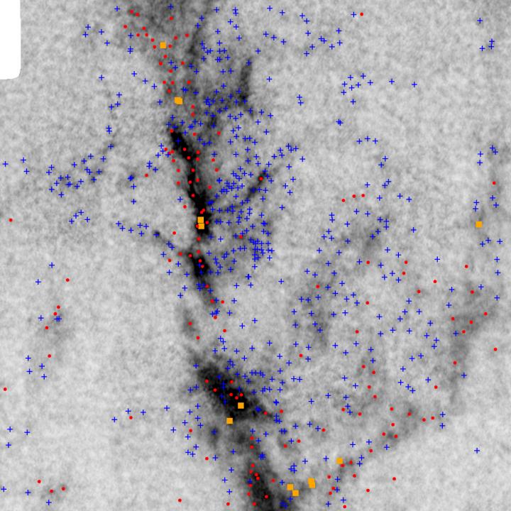 Orion Nebula Observations Suggests Stars Grow Competitively