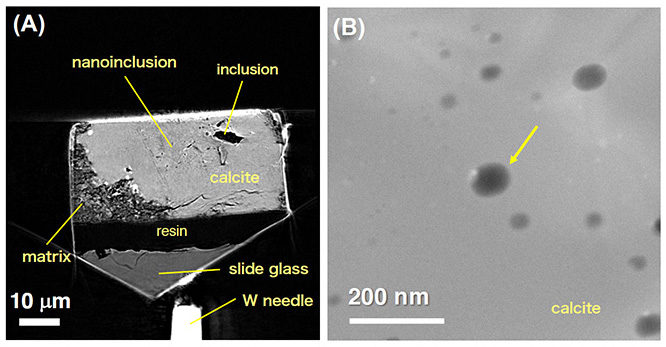CO2-Rich Liquid Water Found in Meteorite