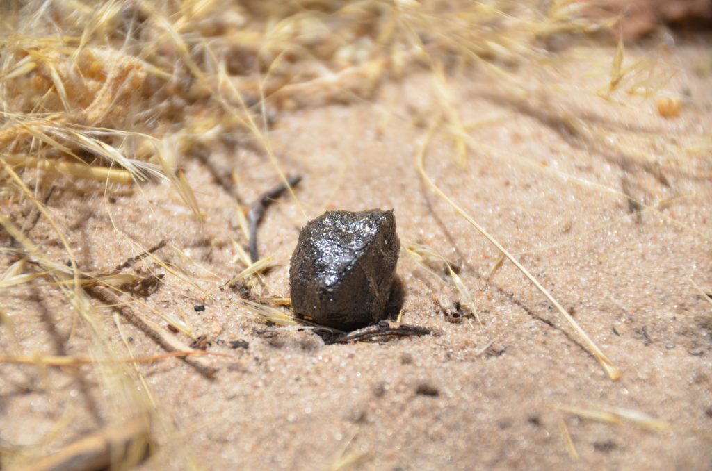 2018 Botswana Meteorite Came From Asteroid Vesta