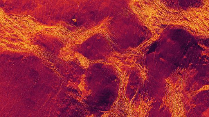 ‘Pack Ice’ Tectonics Reveal Venus’ Geological Secrets