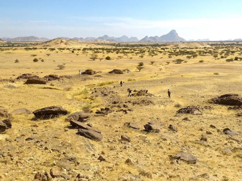 Math Used to Study Galaxies Also Describes Gravesites