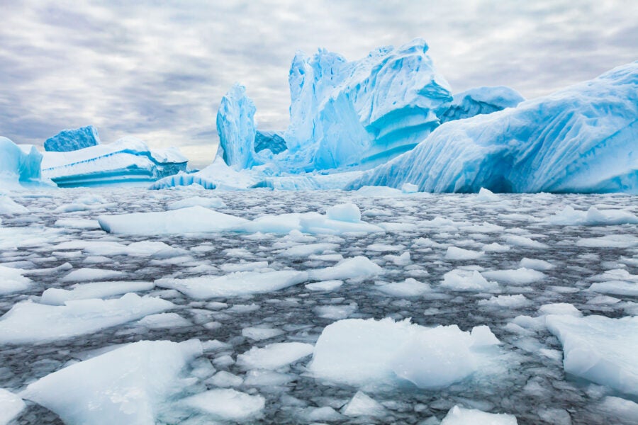 Polar Ice Loss Warps the Shape of Earth