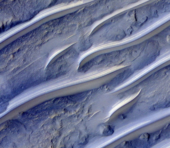 Dunes on Mars Show the Wind