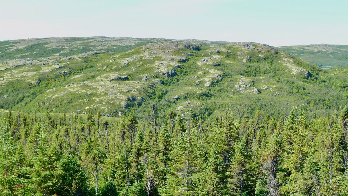 Small Mountains Formed Without Plate Tectonics