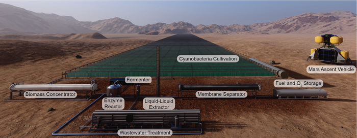 Earth Bacteria May Make Rocket Fuel on Mars