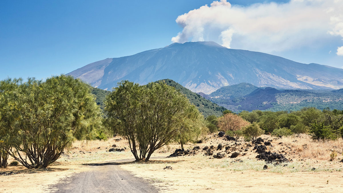 Seeing the Volcano for the Trees