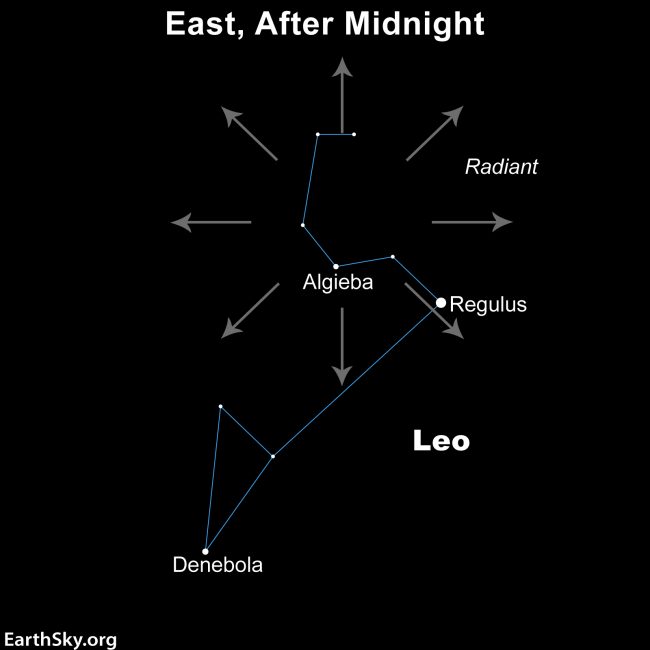 What’s Up: Leonid Meteor Shower