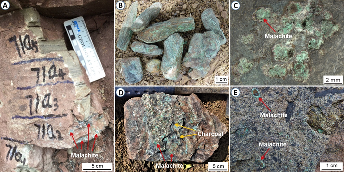 Volcanoes Contributed to Mass Extinction