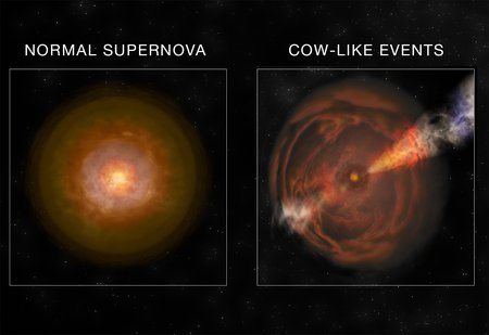 New Class of Supernova Designated ‘Cow’