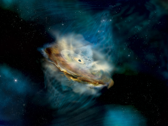 Black Hole Flips Magnetic Field