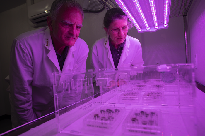 Plants Successfully Grown in Lunar Soil