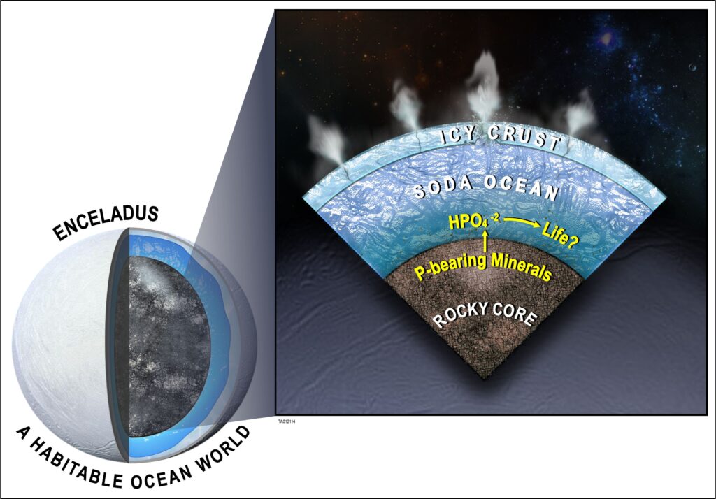 Enceladus’ Oceans Host Habitable Components