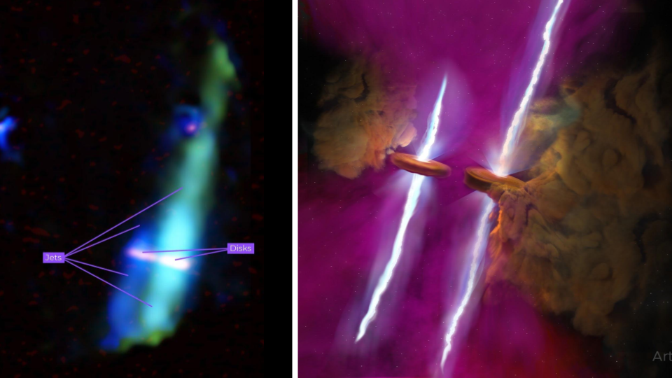 Left: JWST and ALMA images of a close pair of stars in WL-20. Right: An artists illustration of the system. Credit: U.S. NSF/NSF NRAO/B. Saxton