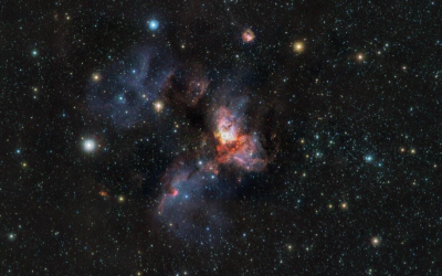 One Star Cluster, 80 Million Pixels