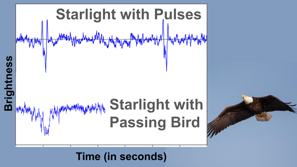 Weird light could mean Aliens, but probably doesn’t
