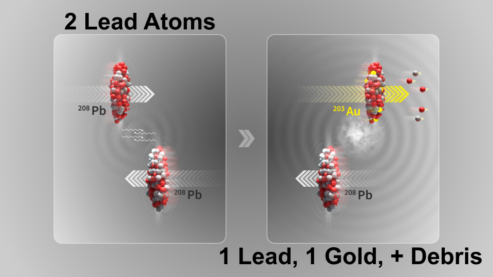 CERN did Alchemy, turning Lead to Gold