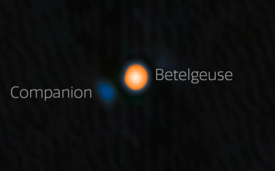 Betelgeuse’s Betelbuddy
