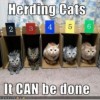 Cosmic Castaways – Building the Team herdingcats