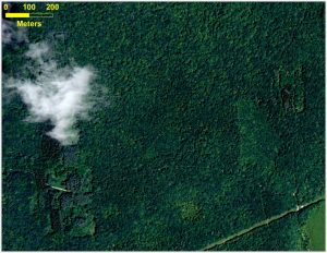 This is an aerial photograph of a forest in Connecticut. Credits: Katharine Johnson