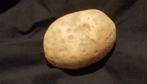 Asteroid Potato Photo Contest 2022